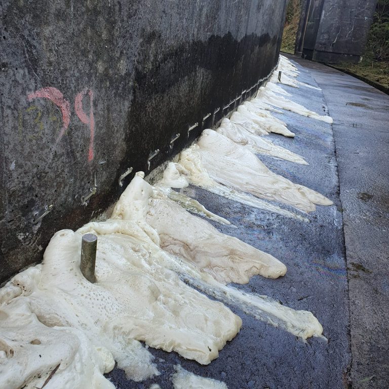 Foamy beige substance oozing and spreading along the base of a concrete wall with metal stakes embedded, next to a wet paved pathway.
